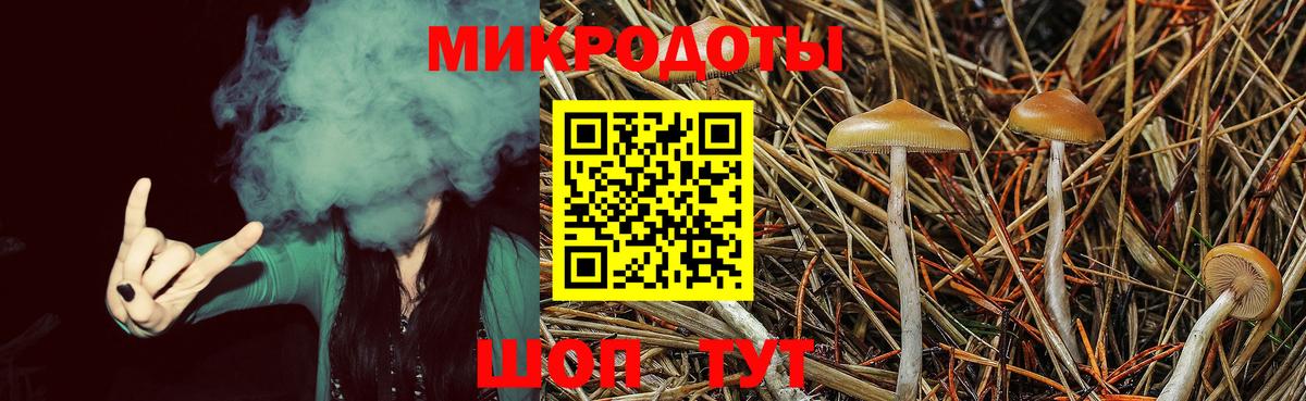 Псилоцибиновые грибы ЛСД Обнинск